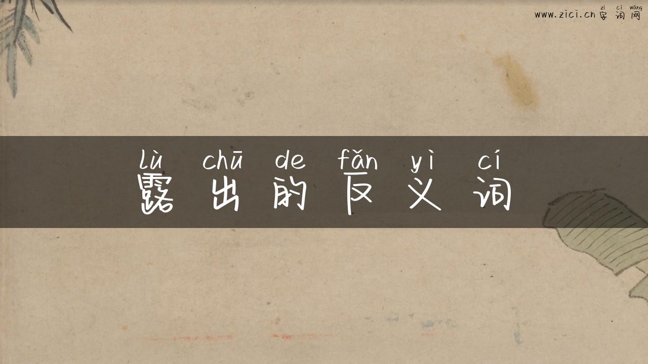 露出的反义词