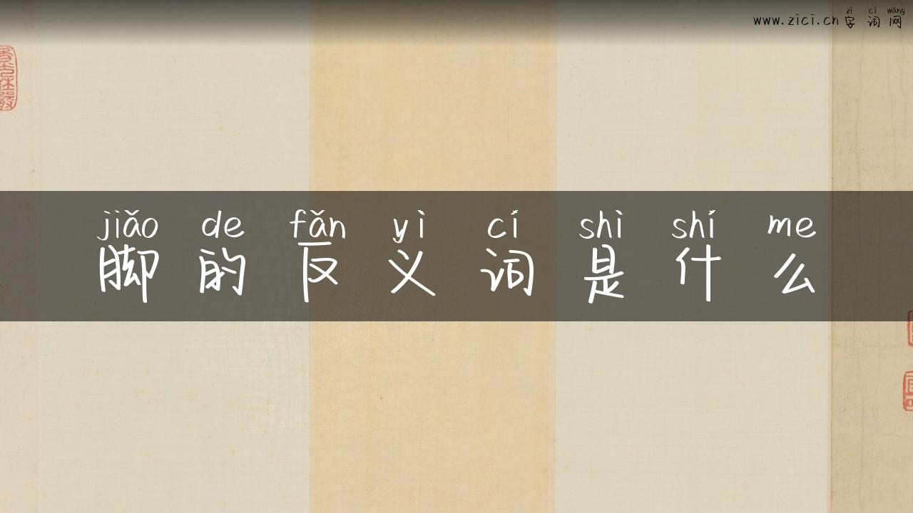 脚的反义词是什么