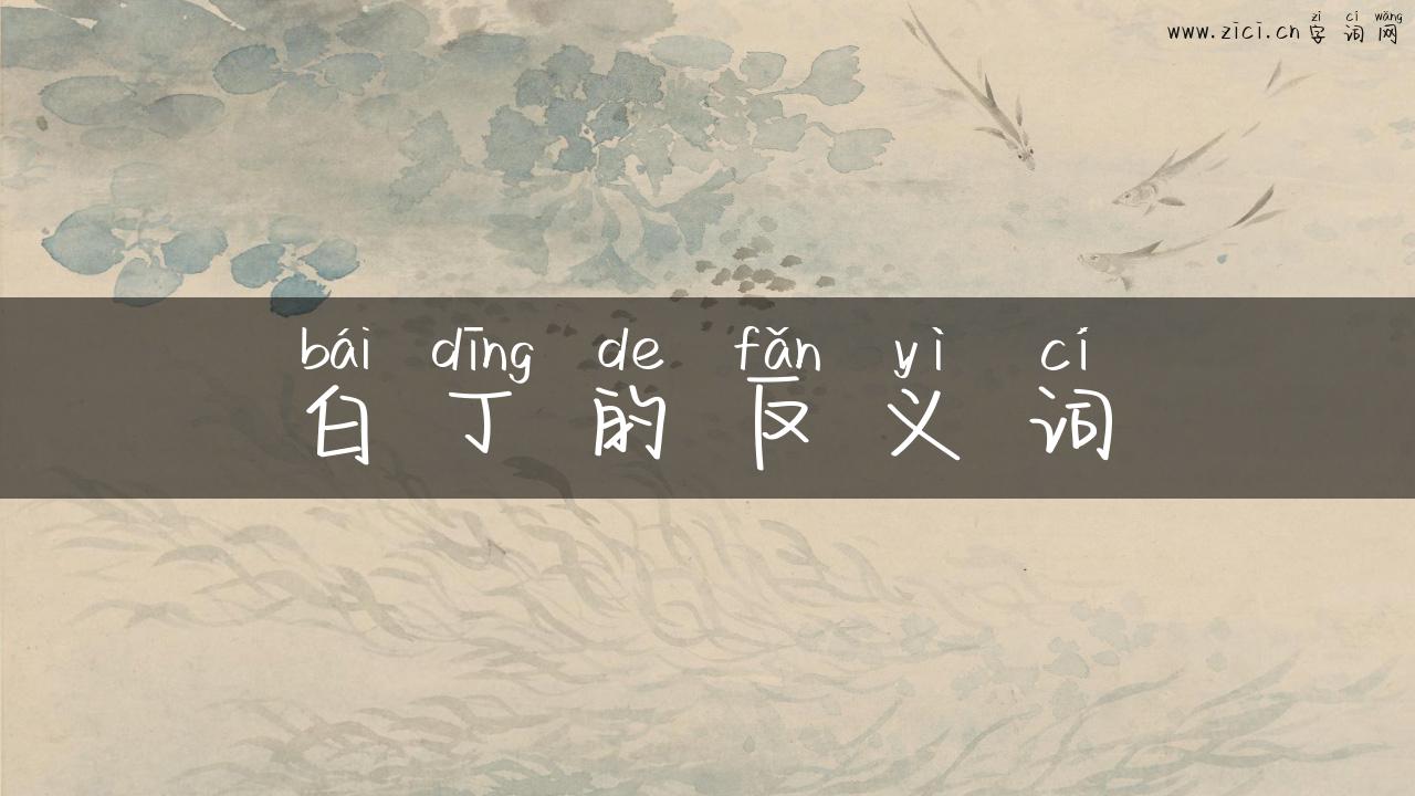 白丁的反义词
