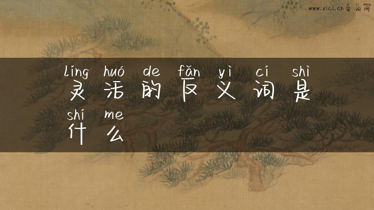 灵活的反义词是什么