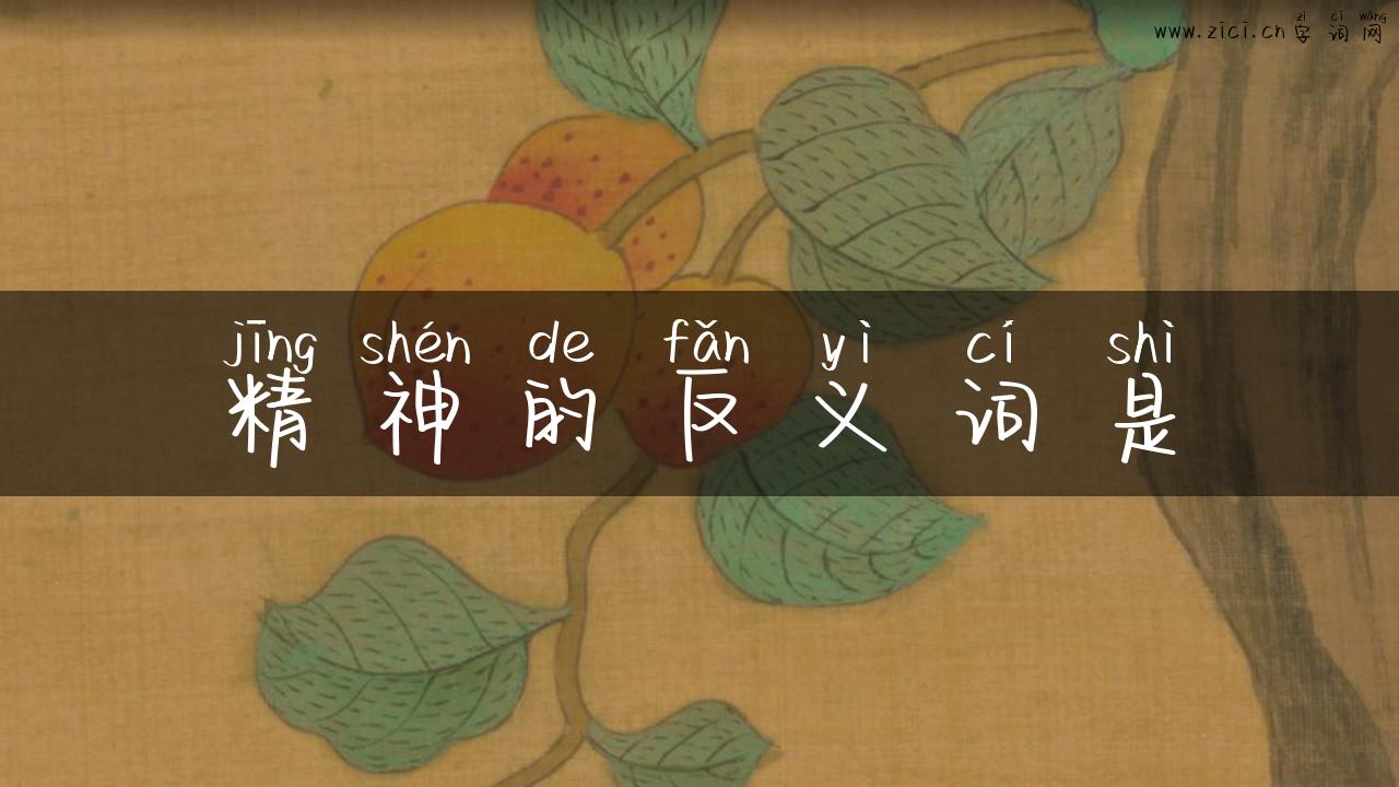 精神的反义词是
