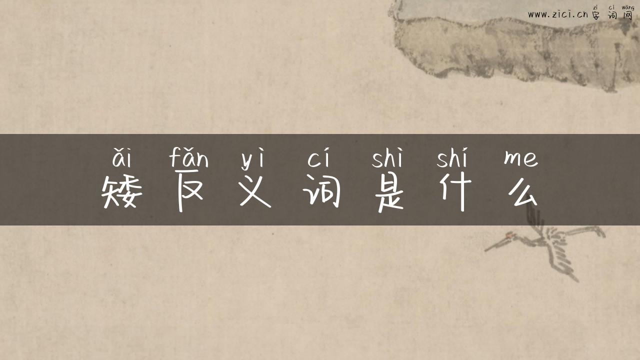 矮反义词是什么