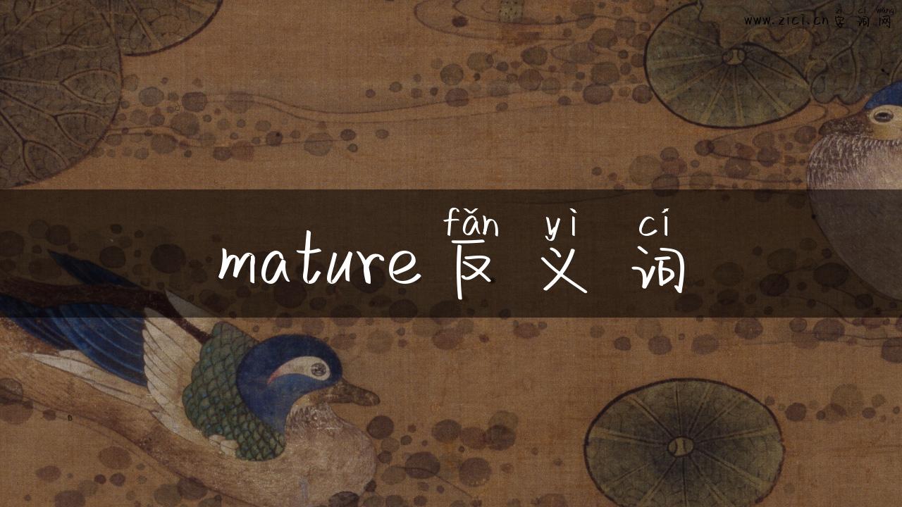 mature反义词
