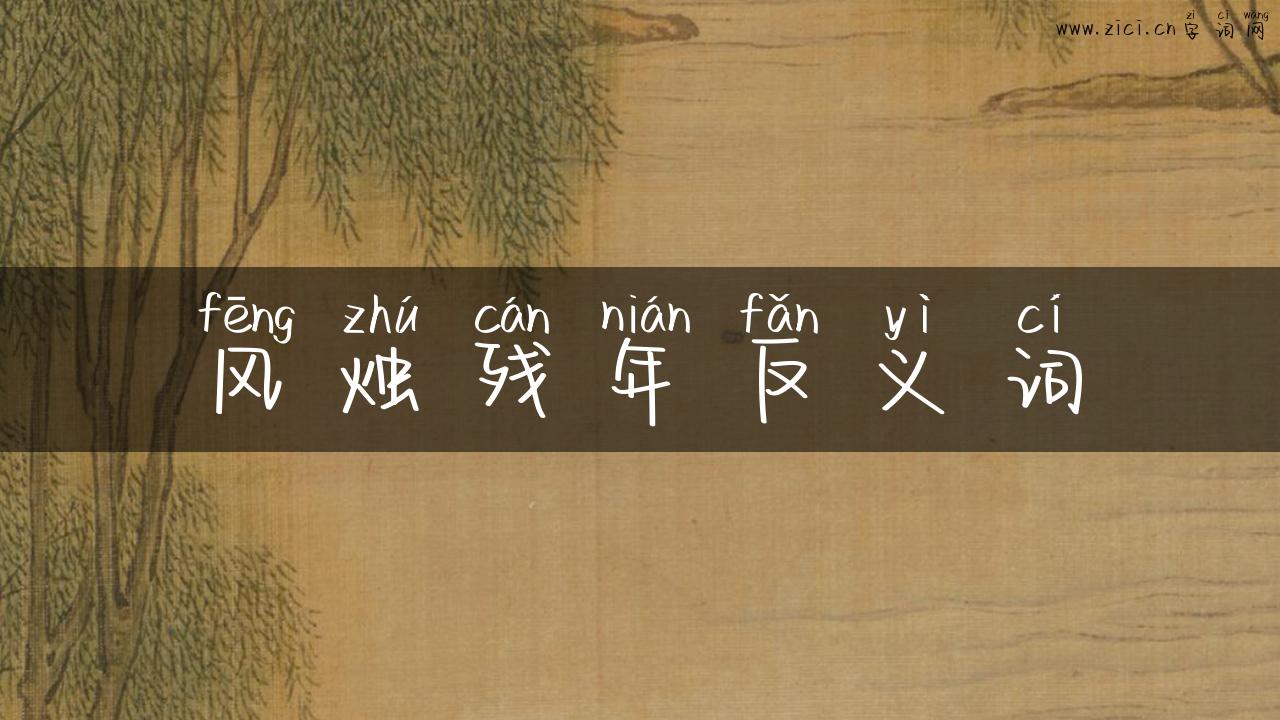 风烛残年反义词