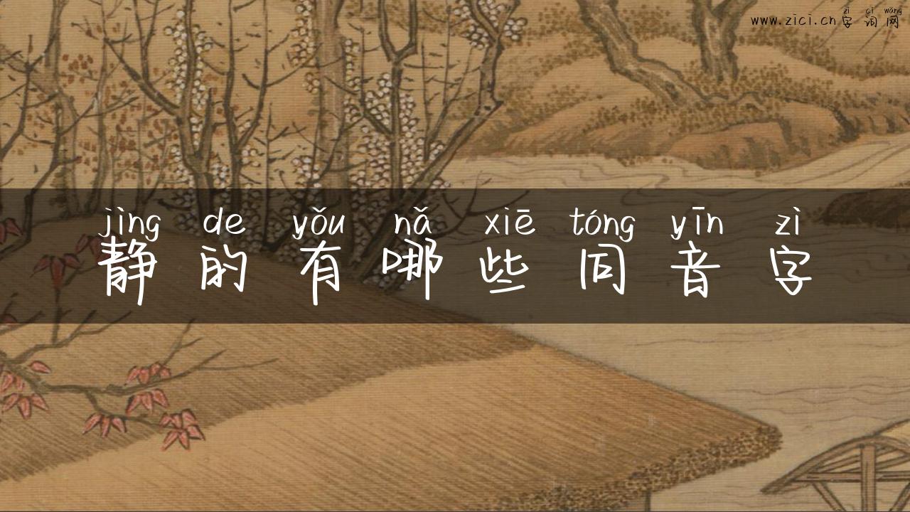 静的有哪些同音字