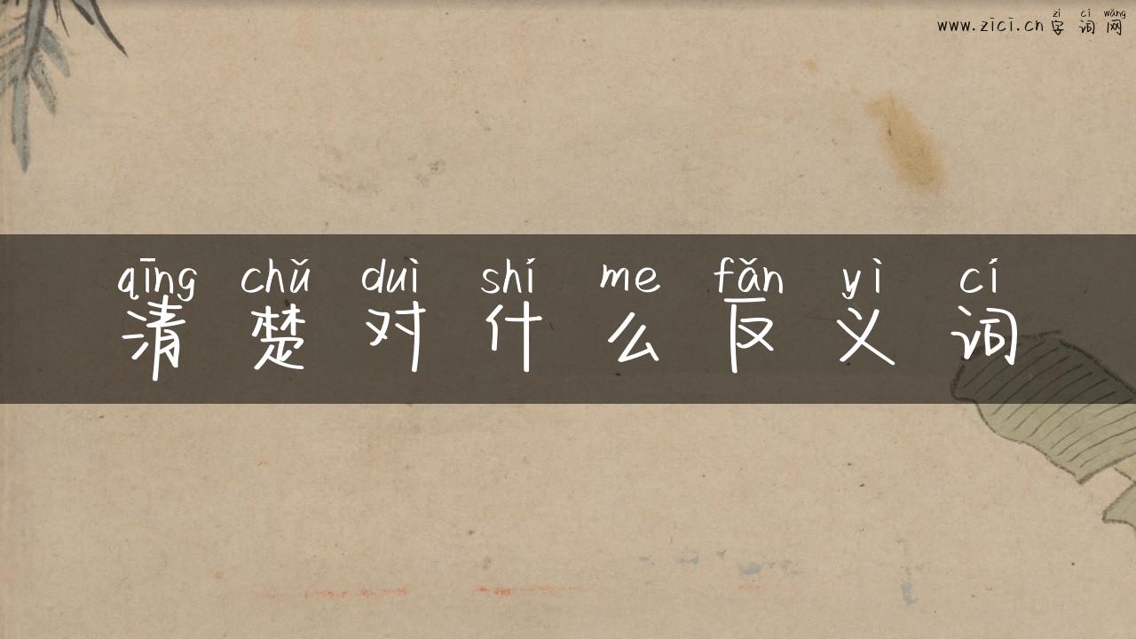 清楚对什么反义词