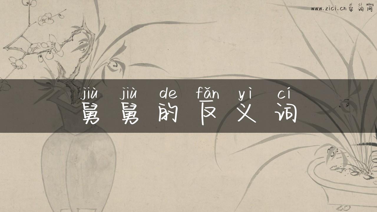 舅舅的反义词