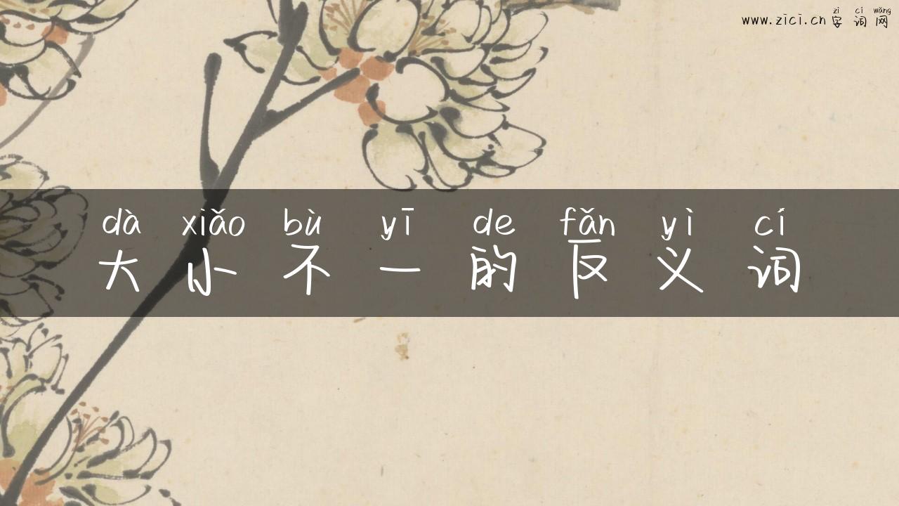 大小不一的反义词