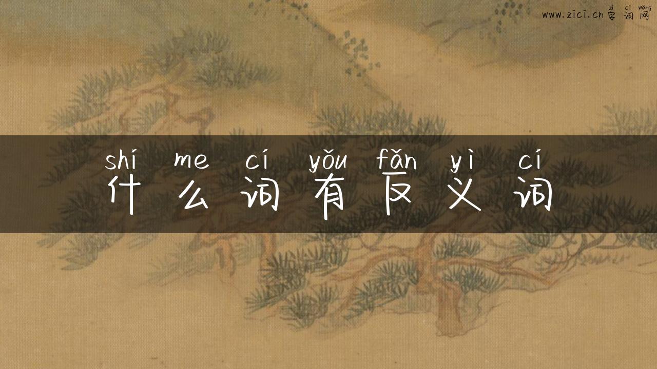 什么词有反义词