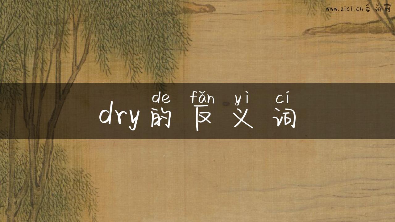 dry的反义词