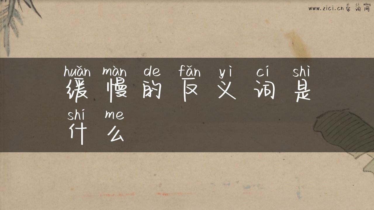 缓慢的反义词是什么