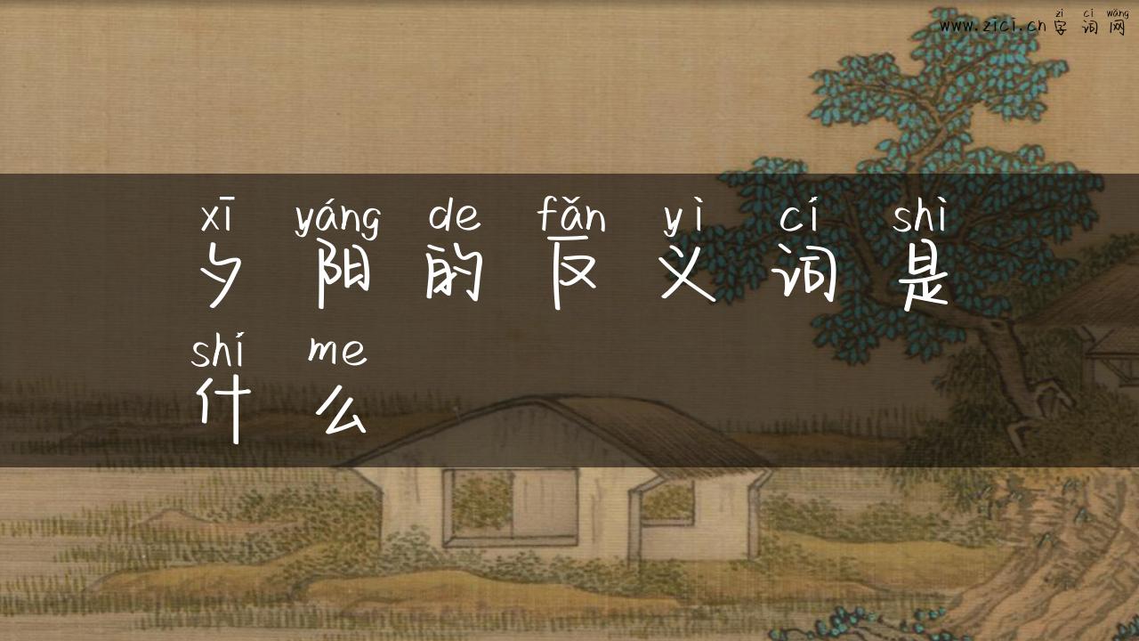 夕阳的反义词是什么