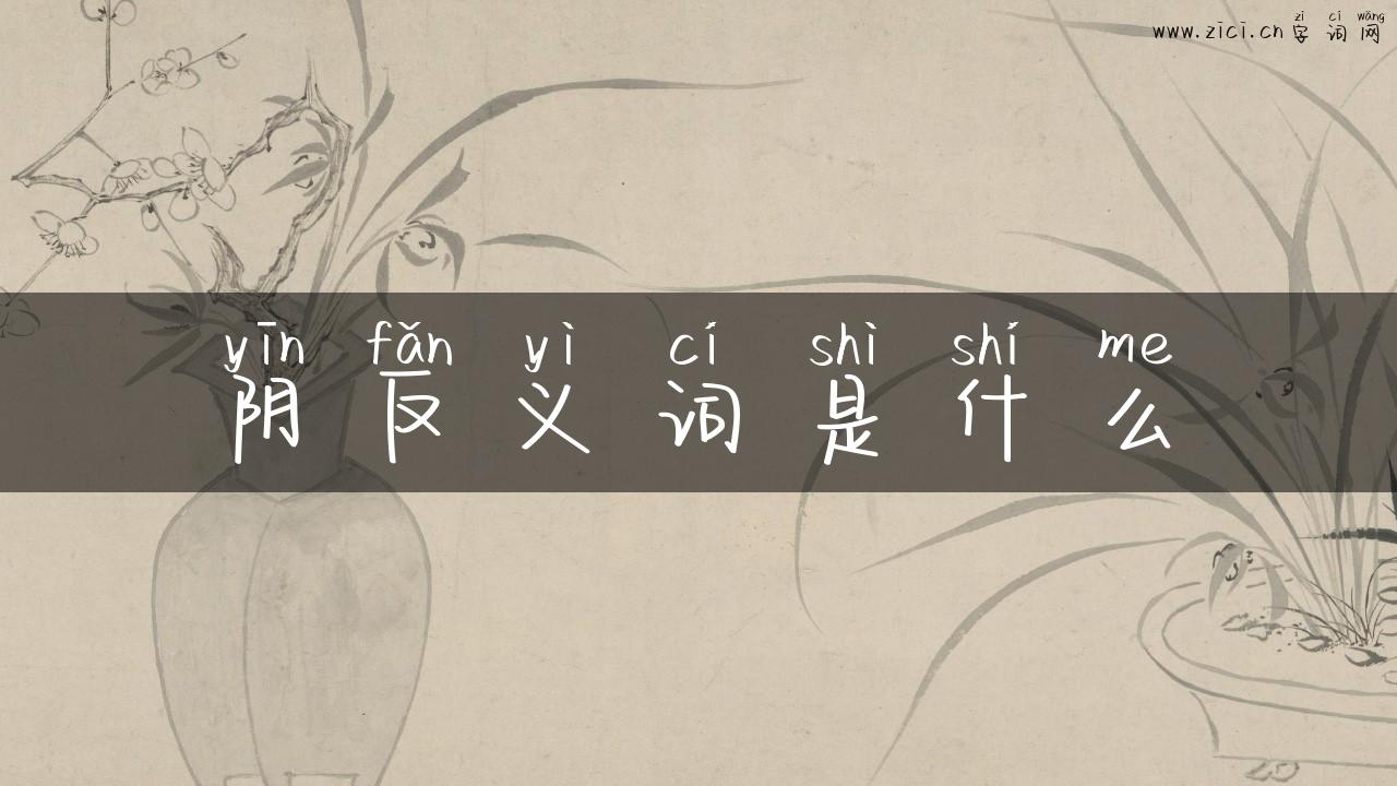 阴反义词是什么