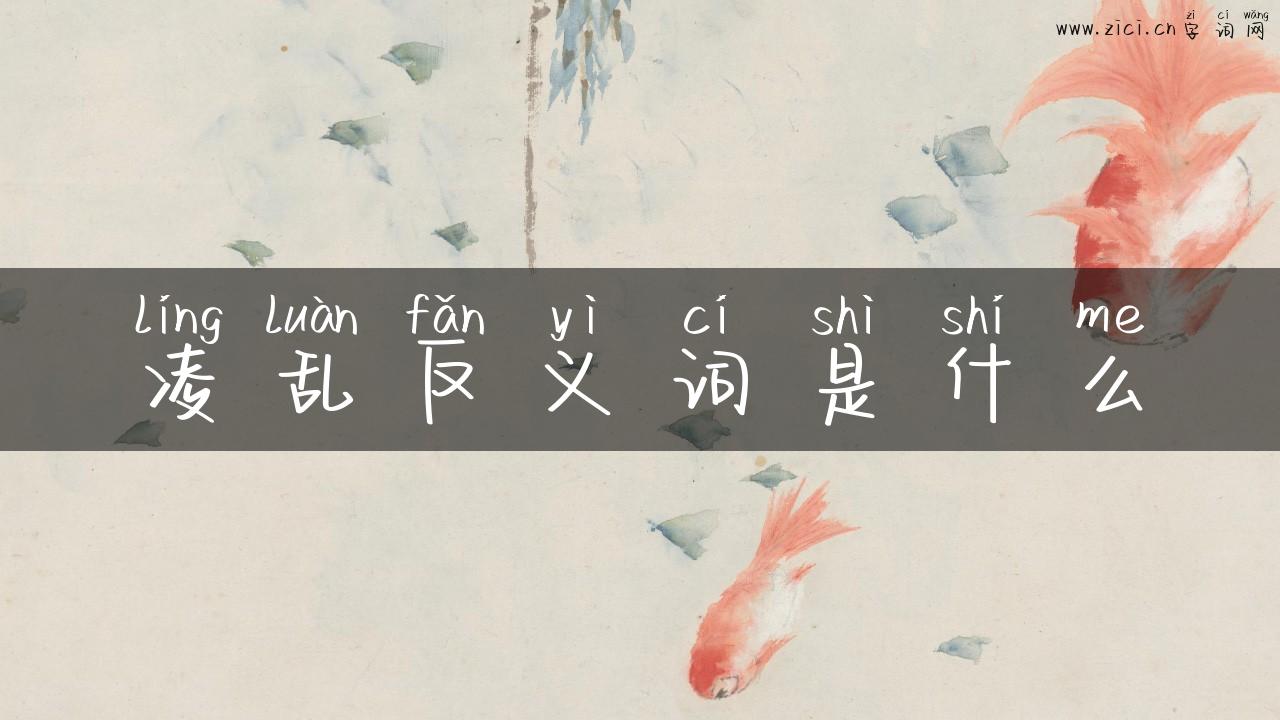 凌乱反义词是什么