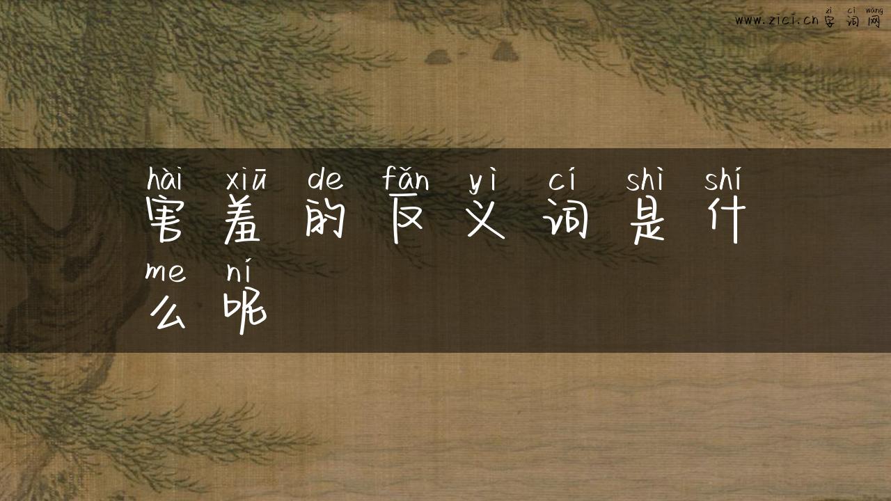 害羞的反义词是什么呢