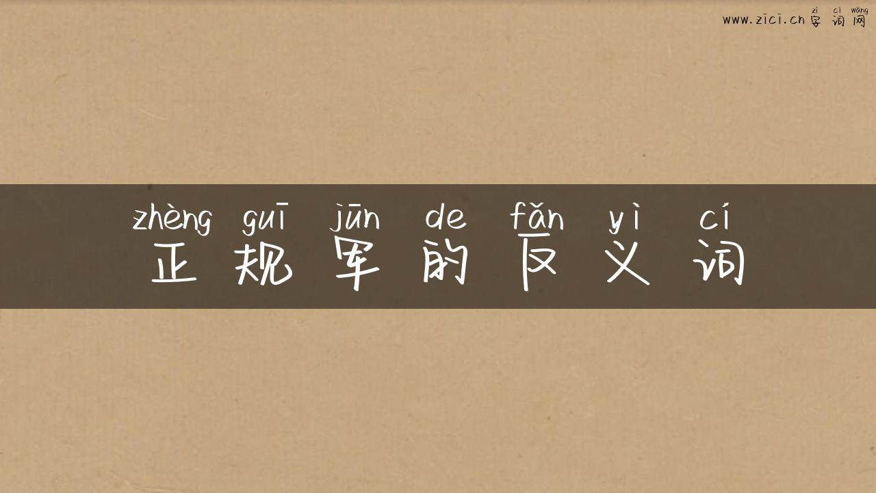正规军的反义词