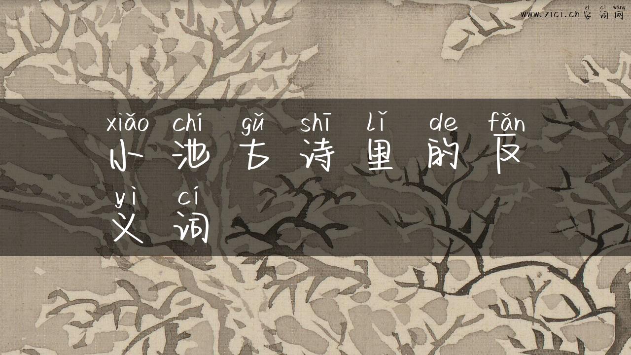 小池古诗里的反义词