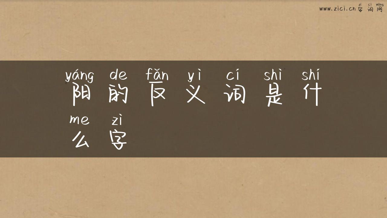 阳的反义词是什么字