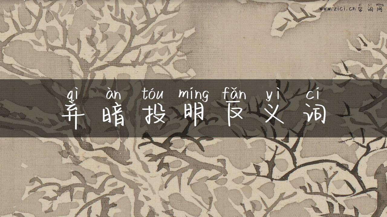 弃暗投明反义词