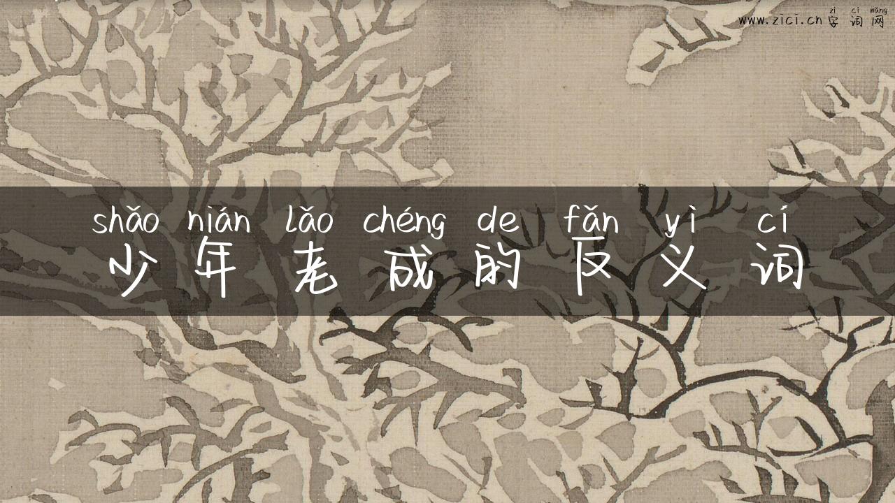 少年老成的反义词