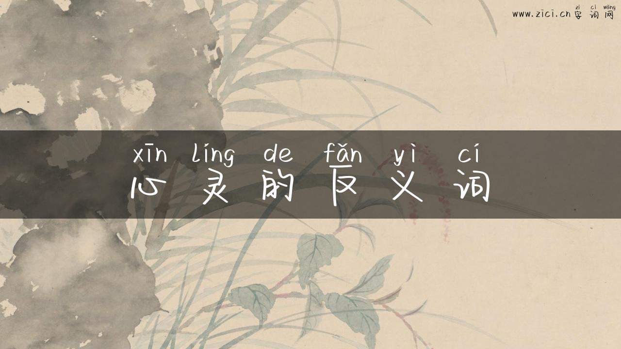 心灵的反义词