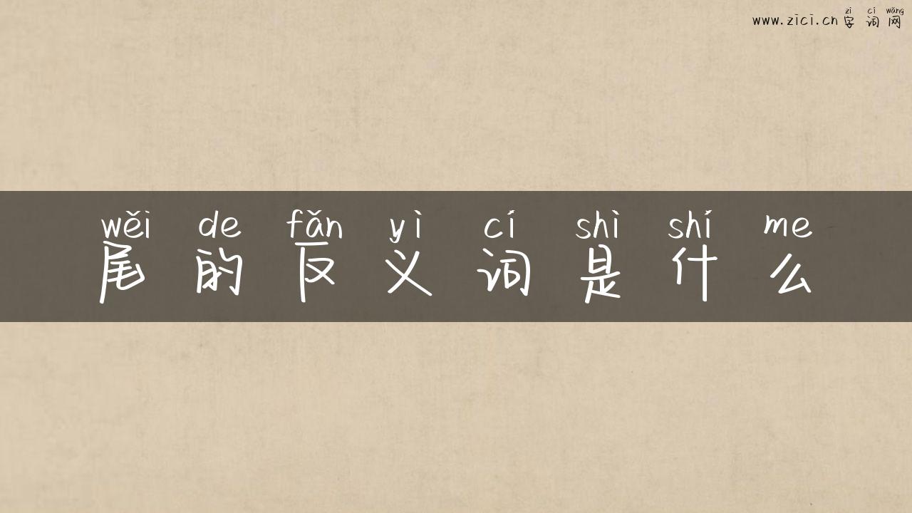 尾的反义词是什么