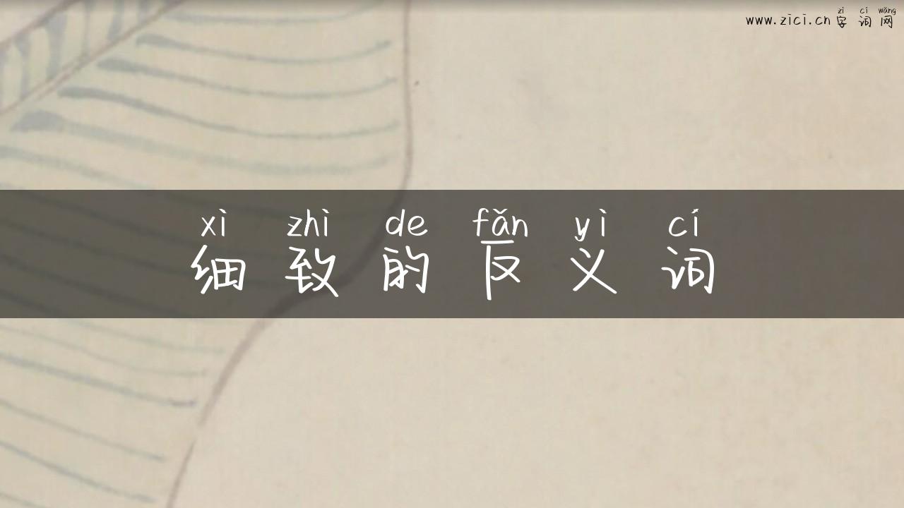 细致的反义词