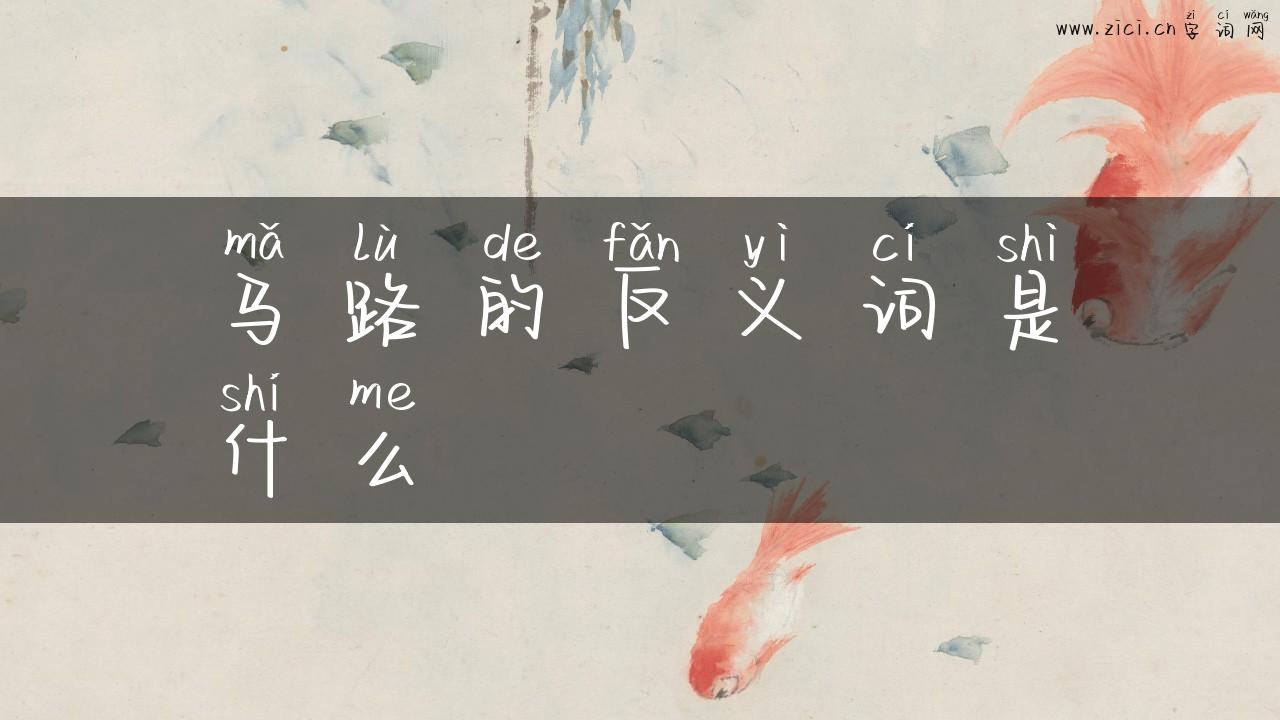 马路的反义词是什么