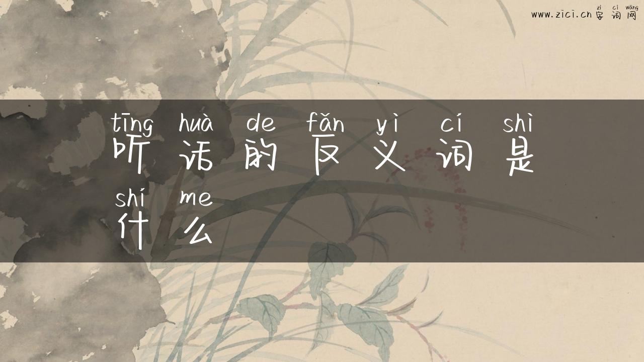 听话的反义词是什么