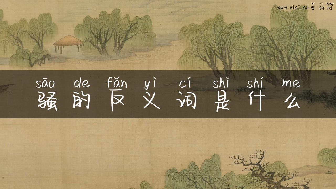 骚的反义词是什么