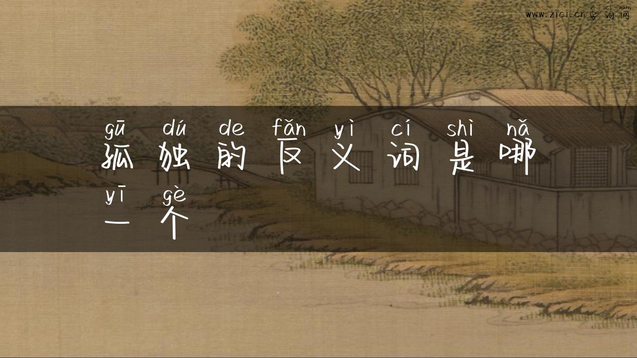 孤独的反义词是哪一个