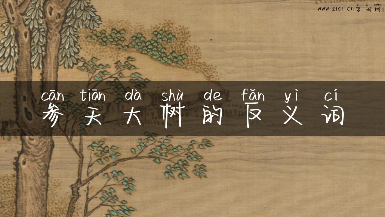 参天大树的反义词
