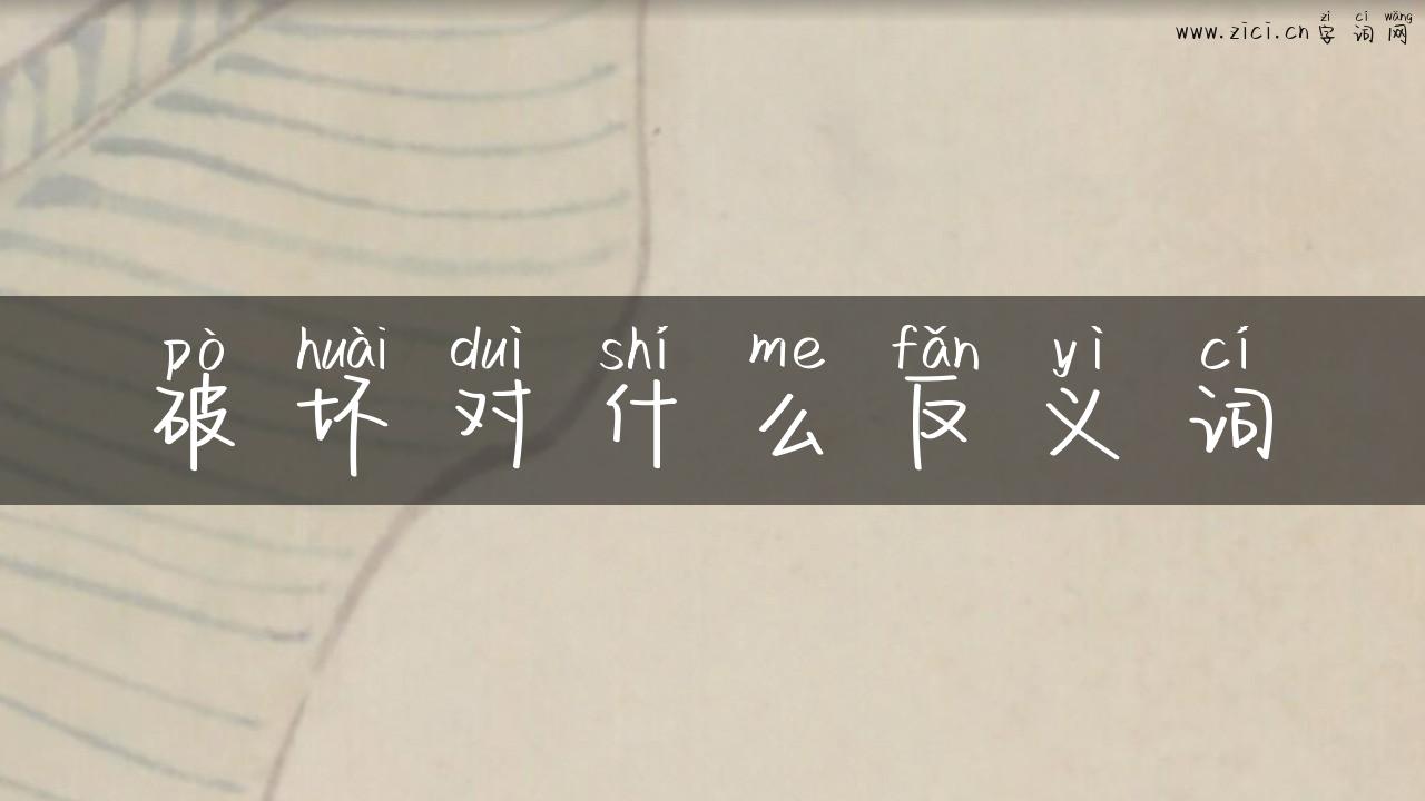破坏对什么反义词