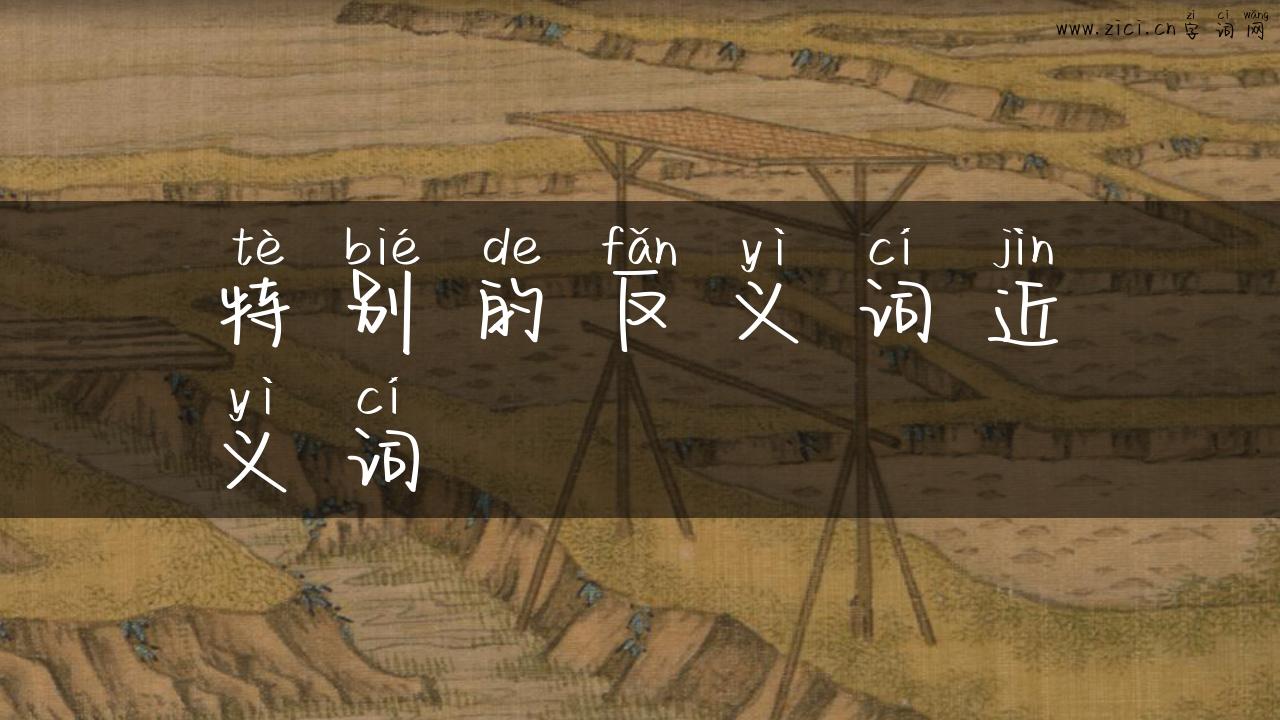 特别的反义词近义词