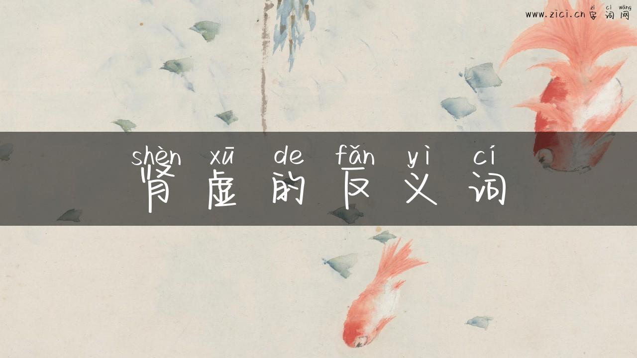肾虚的反义词