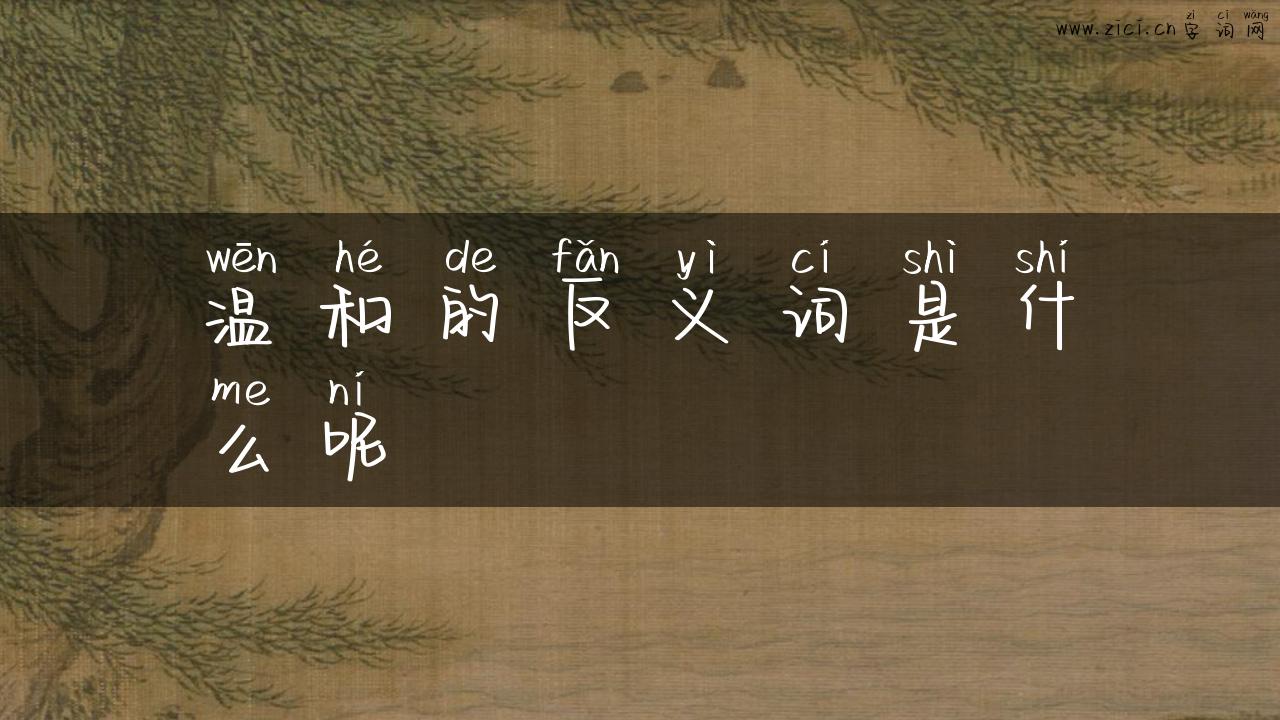 温和的反义词是什么呢