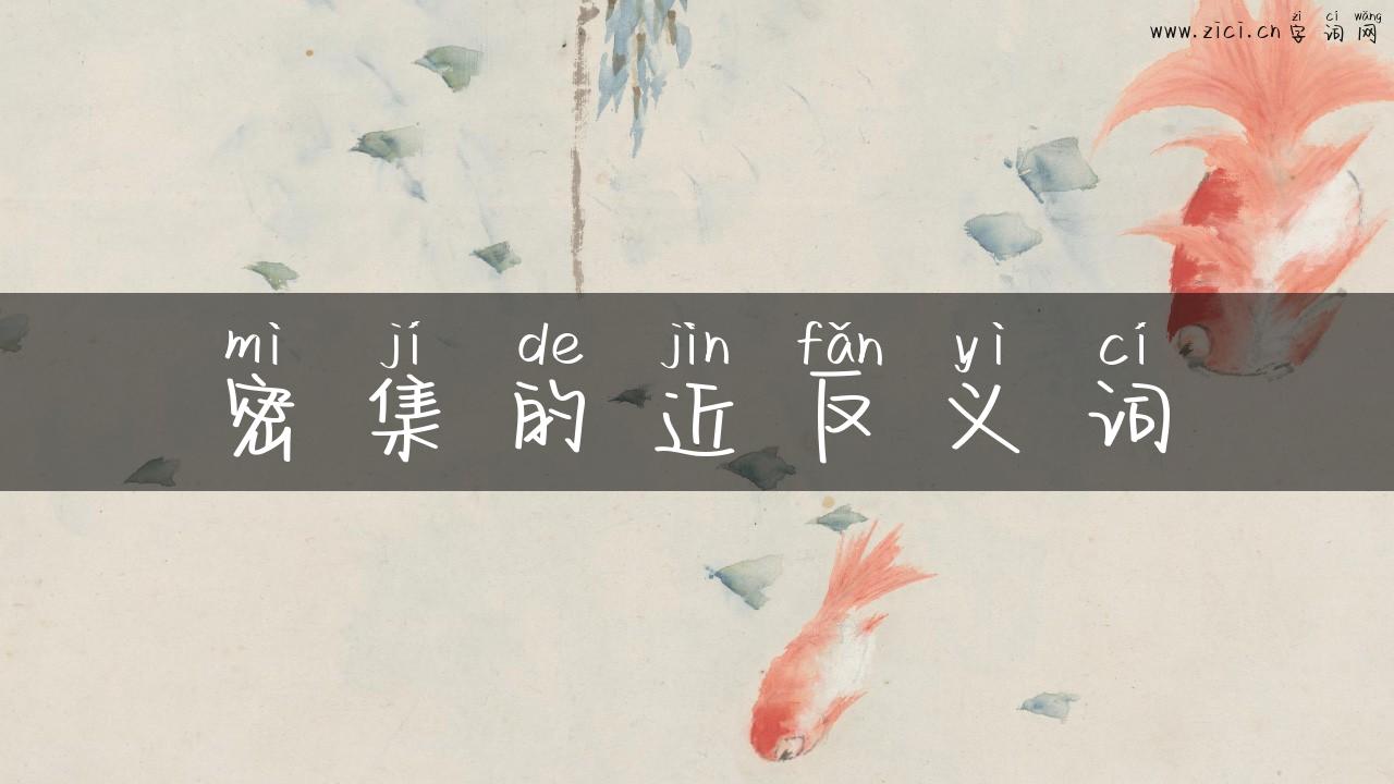 密集的近反义词