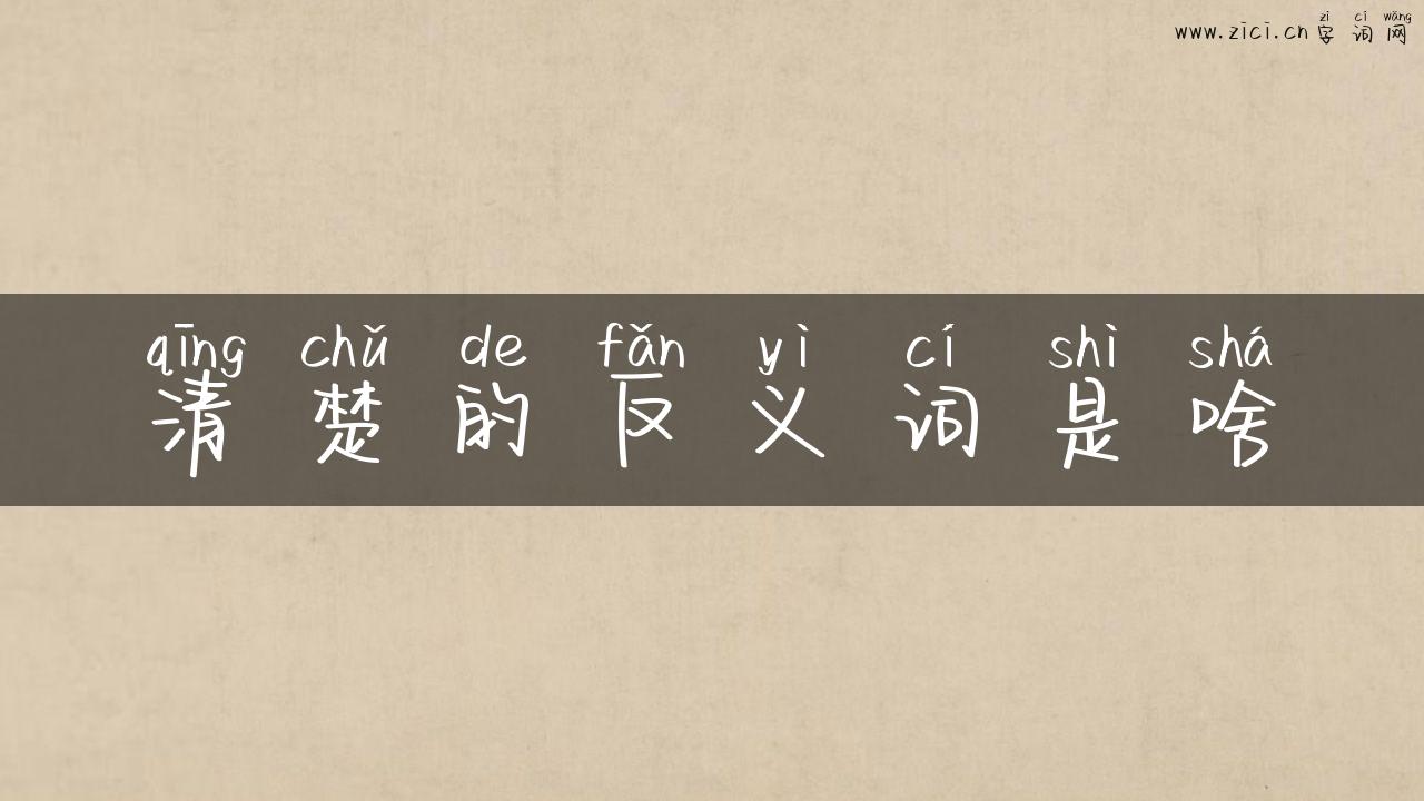 清楚的反义词是啥