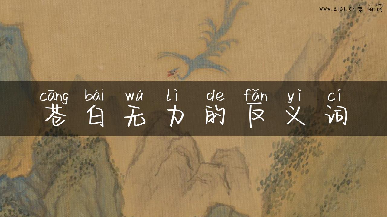 苍白无力的反义词