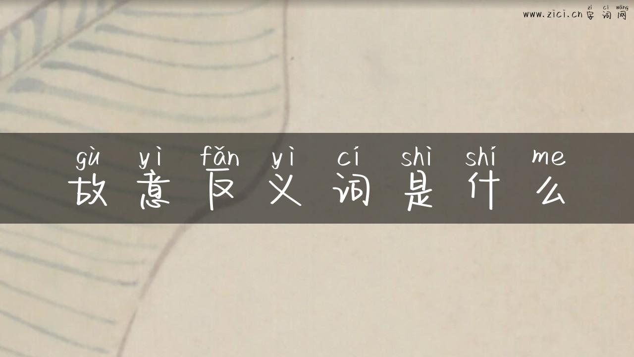 故意反义词是什么