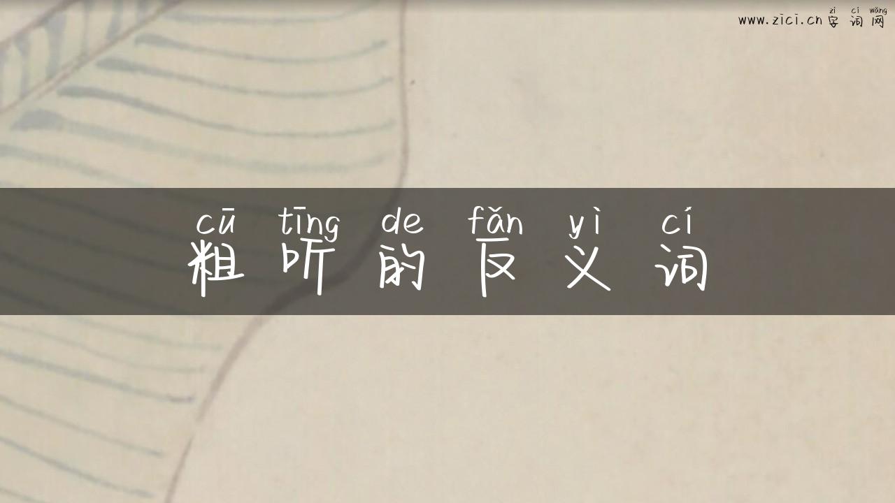 粗听的反义词