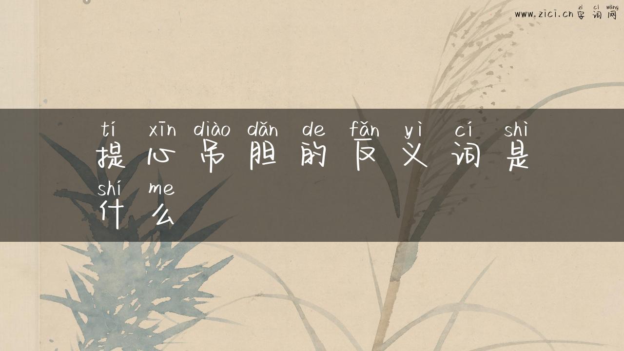 提心吊胆的反义词是什么