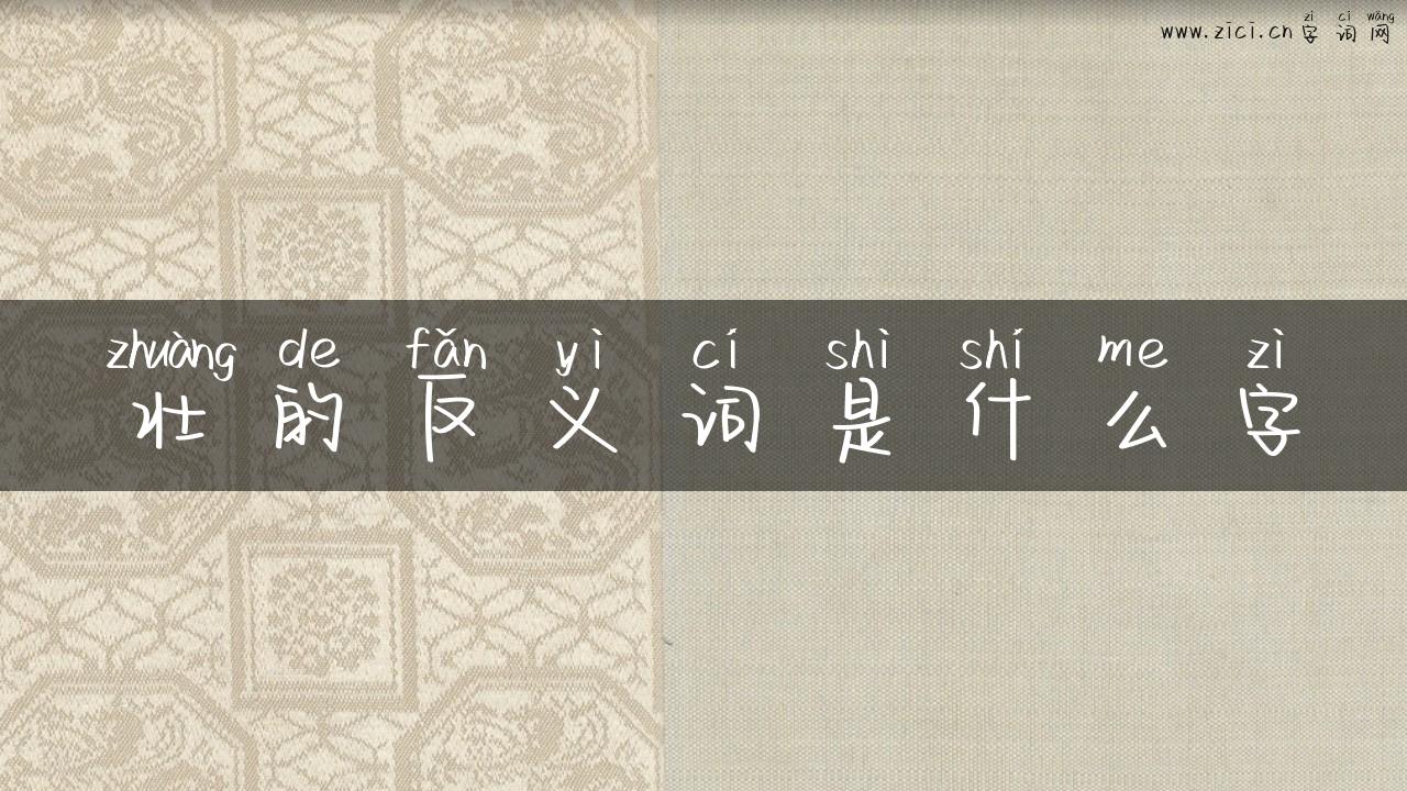 壮的反义词是什么字