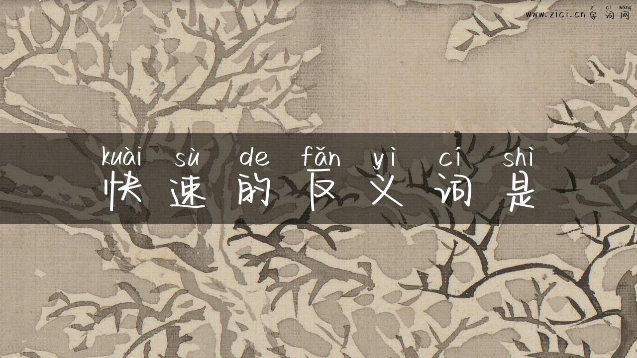 快速的反义词是