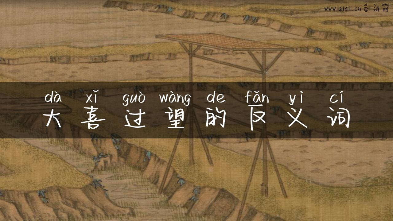 大喜过望的反义词