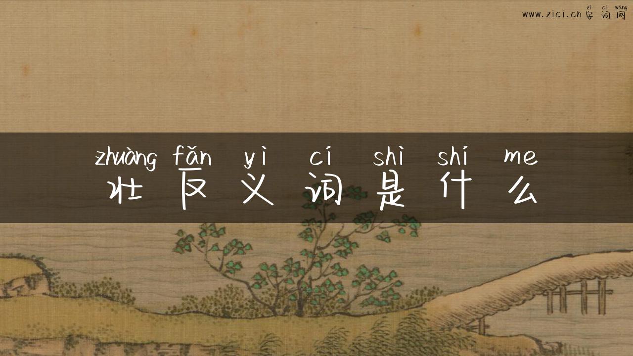 壮反义词是什么