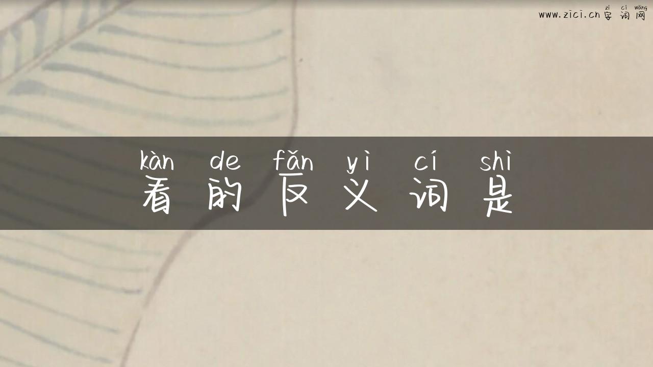 看的反义词是