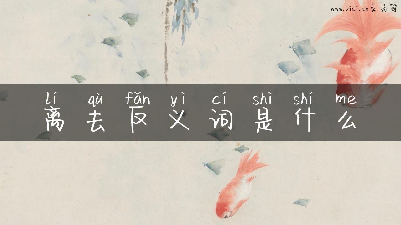 离去反义词是什么