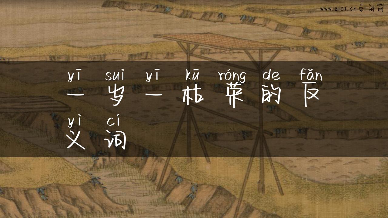 一岁一枯荣的反义词