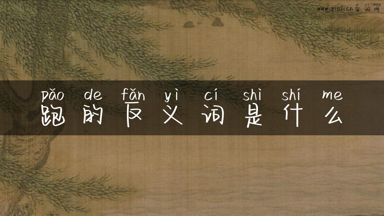 跑的反义词是什么